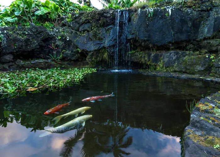 Hana Kai Maui - #5 Kaʻahumanu